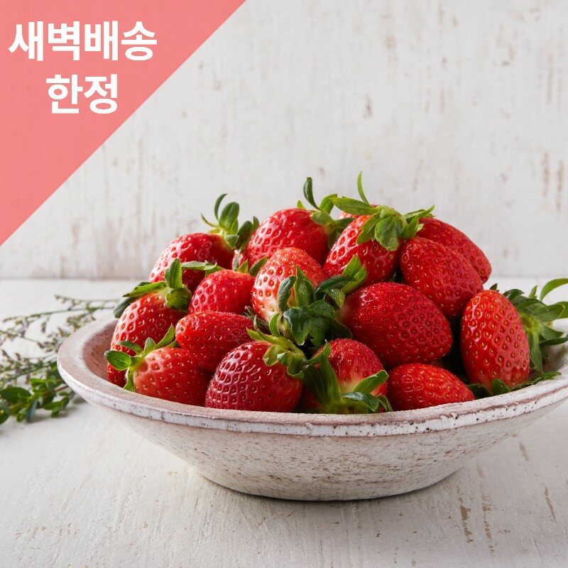 [사전예약/새벽배송한정] 산들내음 친환경 고령 설향딸기(500g*2팩)