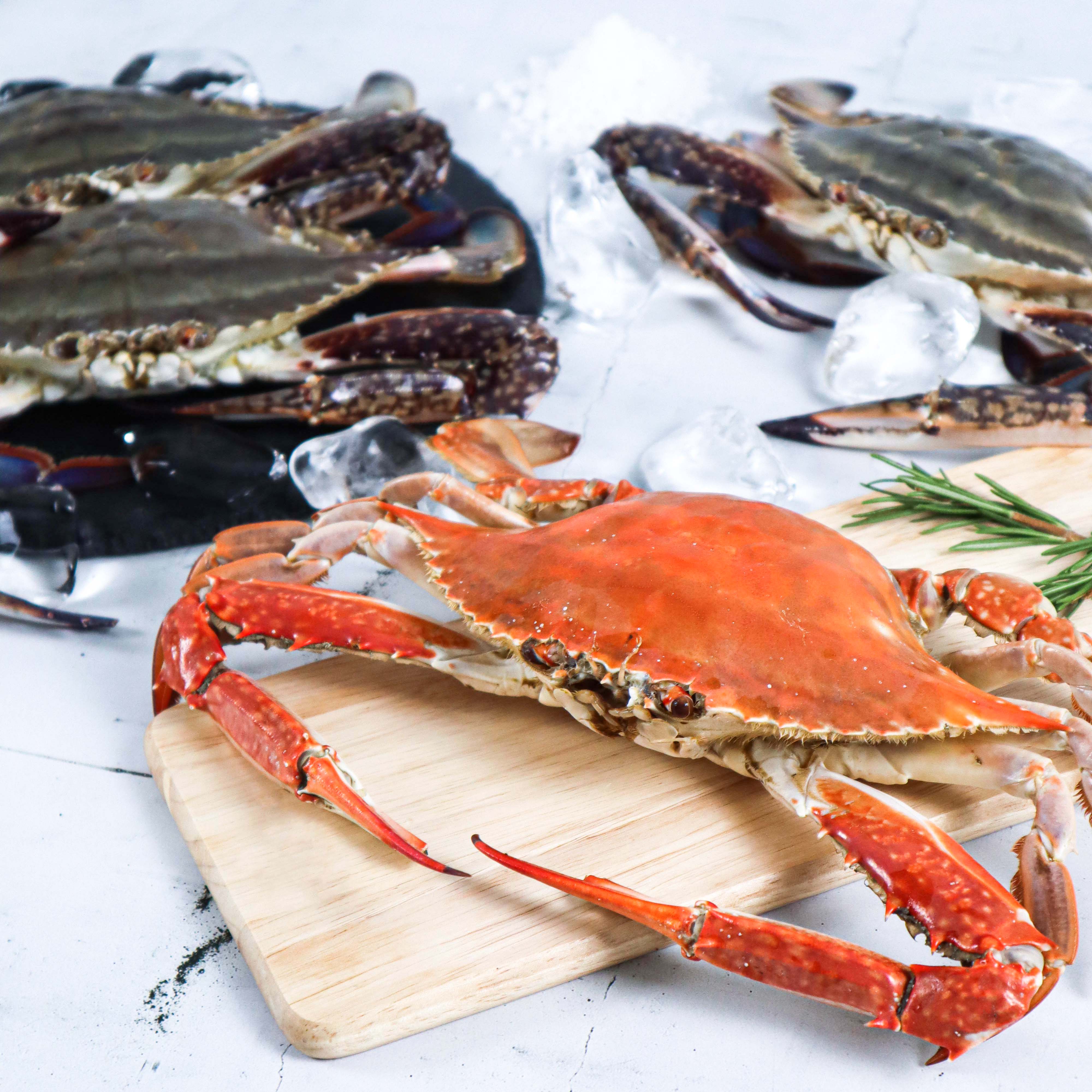 제철 가을 꽃게 1kg(3-4미) :: 건강을 쉽게, 그리팅