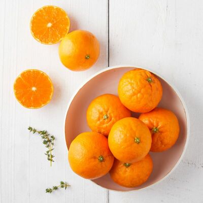 [사전예약] 제주 설국향 3kg