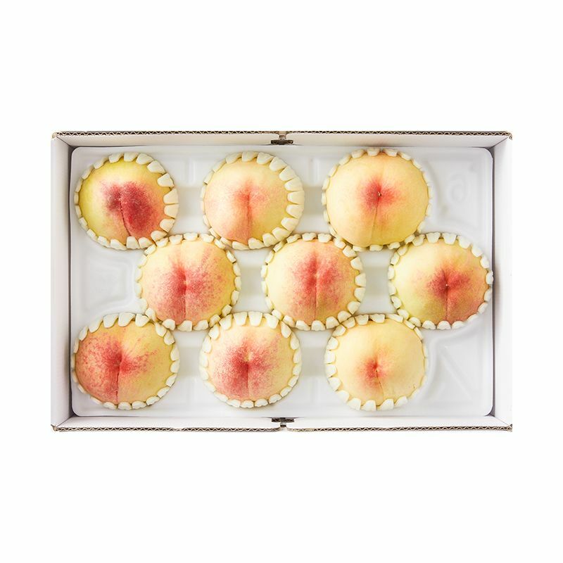 이천 햇사레 백도 복숭아 3kg(10입내) :: 건강을 쉽게, 그리팅