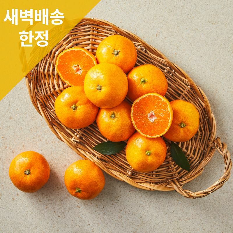 노지 타이벡 감귤 800g :: 건강을 쉽게, 그리팅