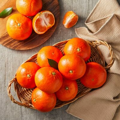 [사전예약] 제주 홍미향 3.5kg