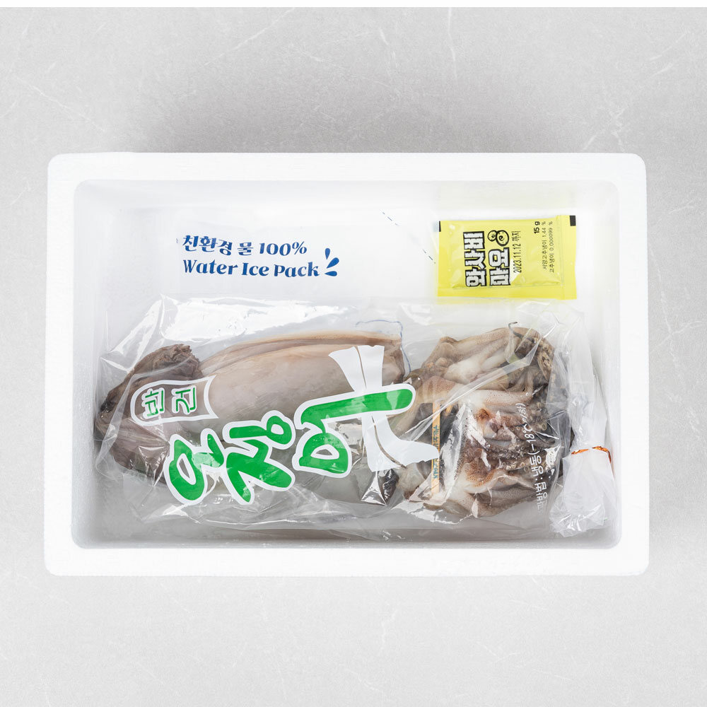 [신통씨푸드] 동해안 건조 원양산 반건조 오징어/10미 1.7kg 내외