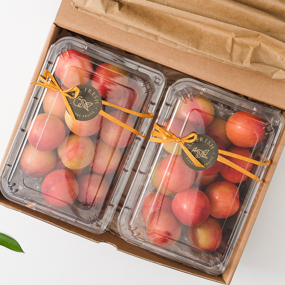 [올프레쉬] 제철과일 실속형 와촌자두 대석 2kg