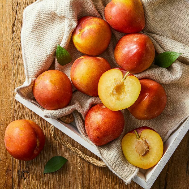 [사전예약] 의성 도담 자두 1.7kg