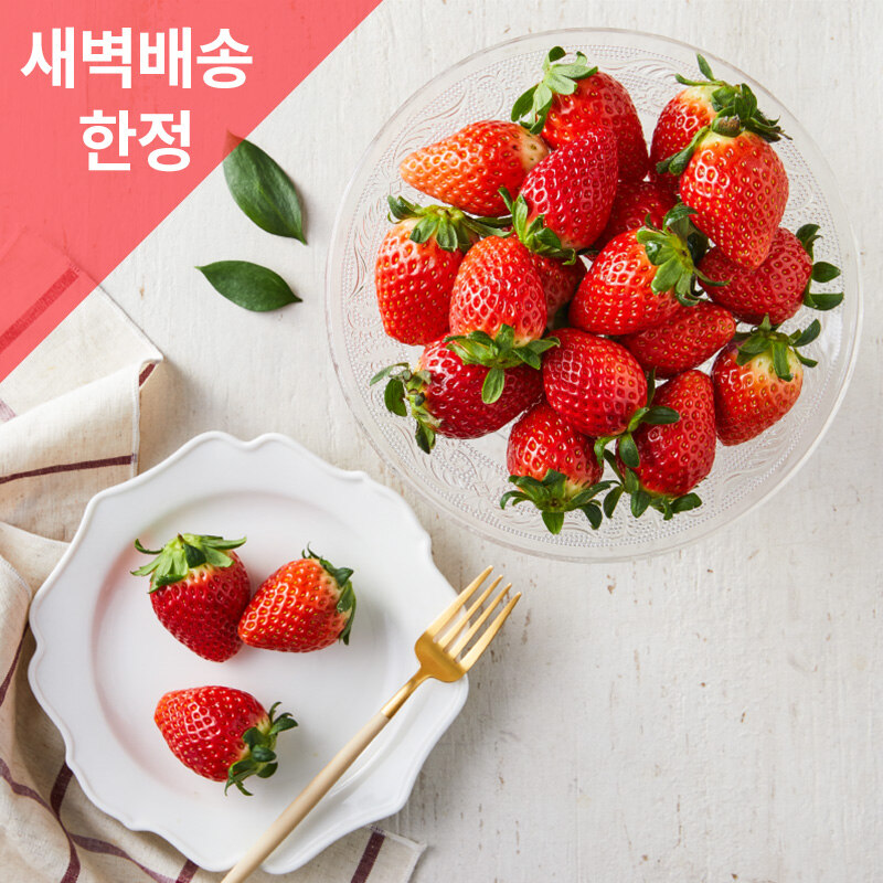 [그리팅] 친환경 금실딸기 480g