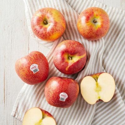 [사전예약] 양구 펀치볼 엔비 사과 2.5kg