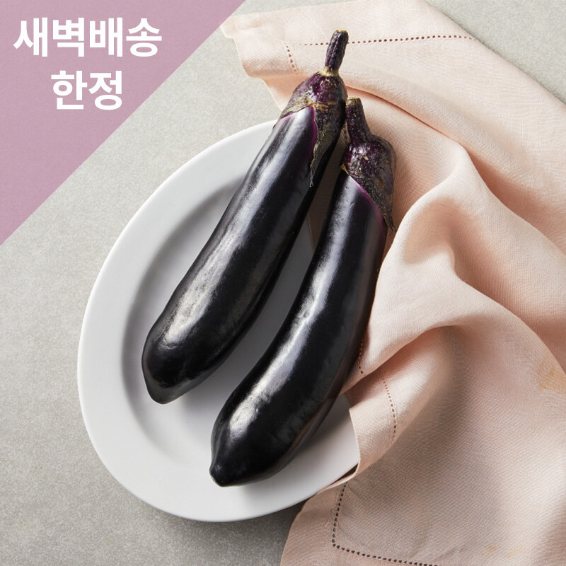 [그리팅] 친환경 가지 (2입)