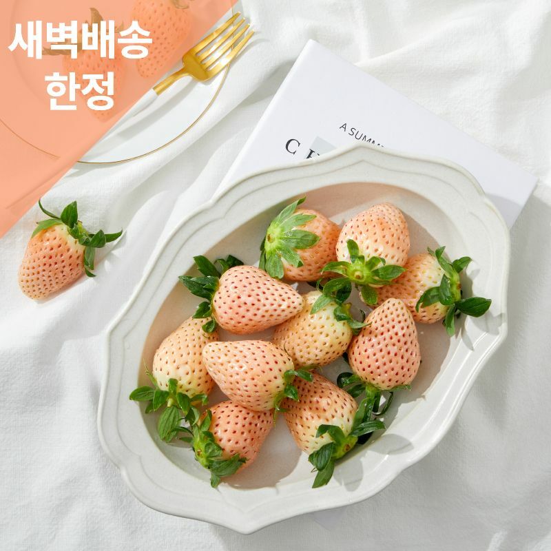 [사전예약/새벽배송한정] 산청 만년설 딸기 350g*2팩