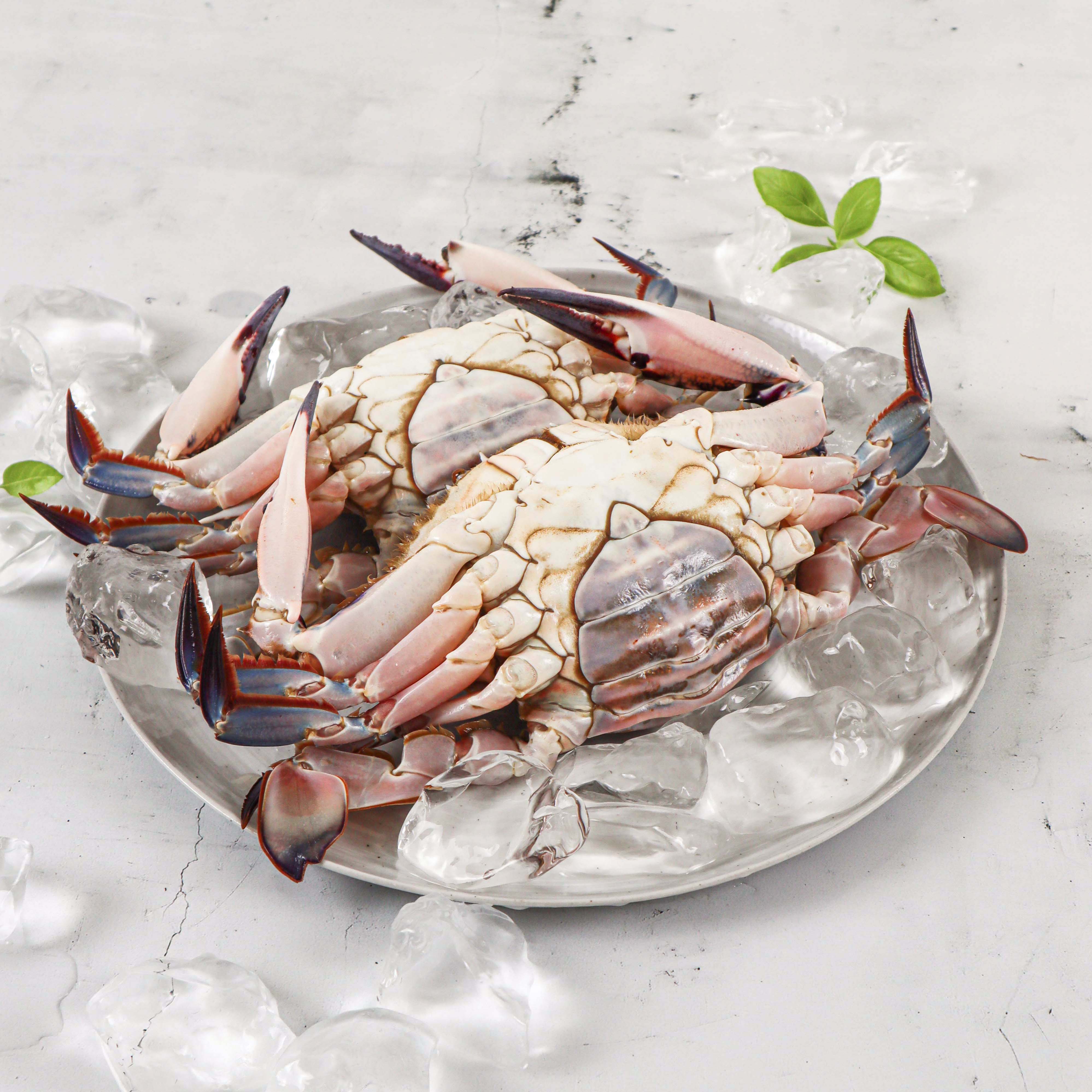 [해식몽] 가을암꽃게 1kg(급랭)