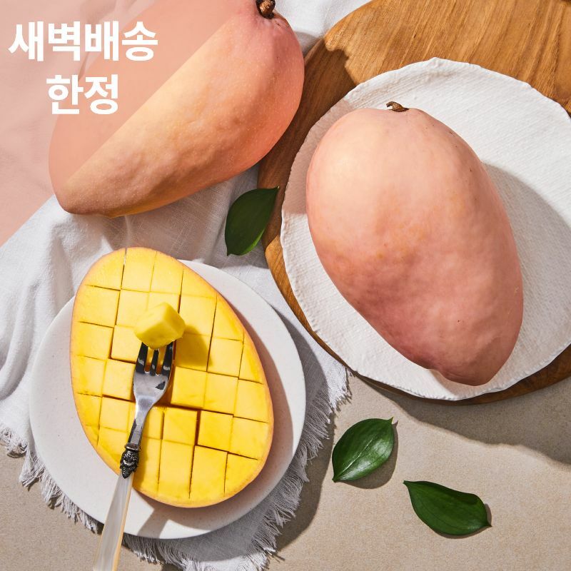 [사전예약/새벽배송한정] 베트남 피치망고 1.4kg