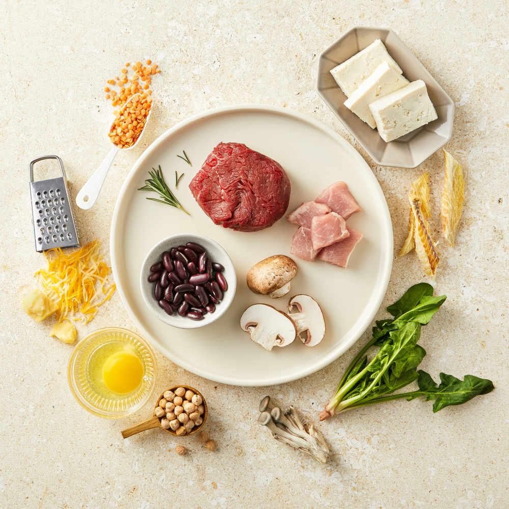 단백질식단/2주/9끼니