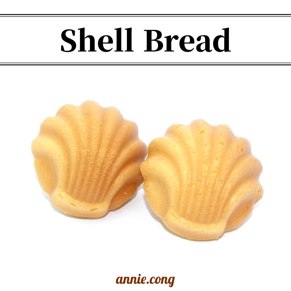 [애니콩] 조가비2p