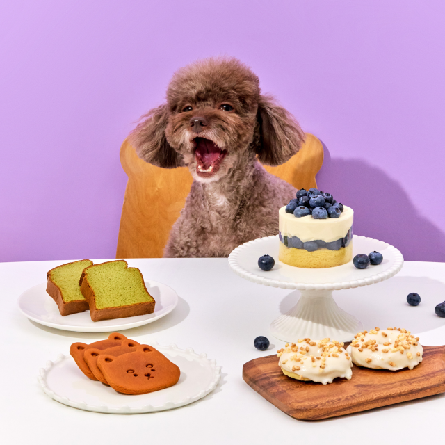 [애니콩] 보라 생일상