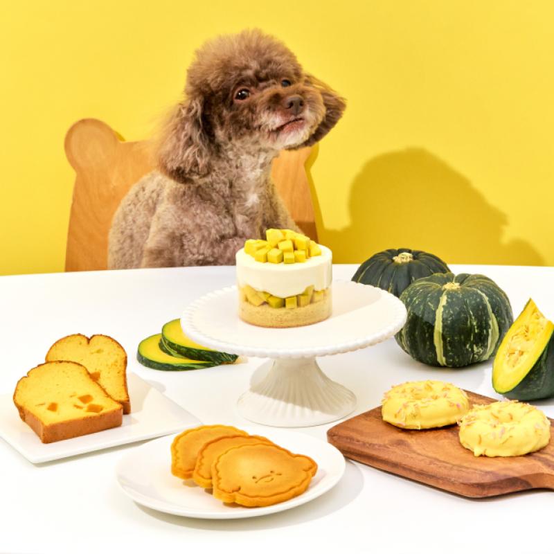 [애니콩] 달콤 생일상