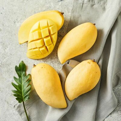 [사전예약] 태국 남독마이 망고 2kg