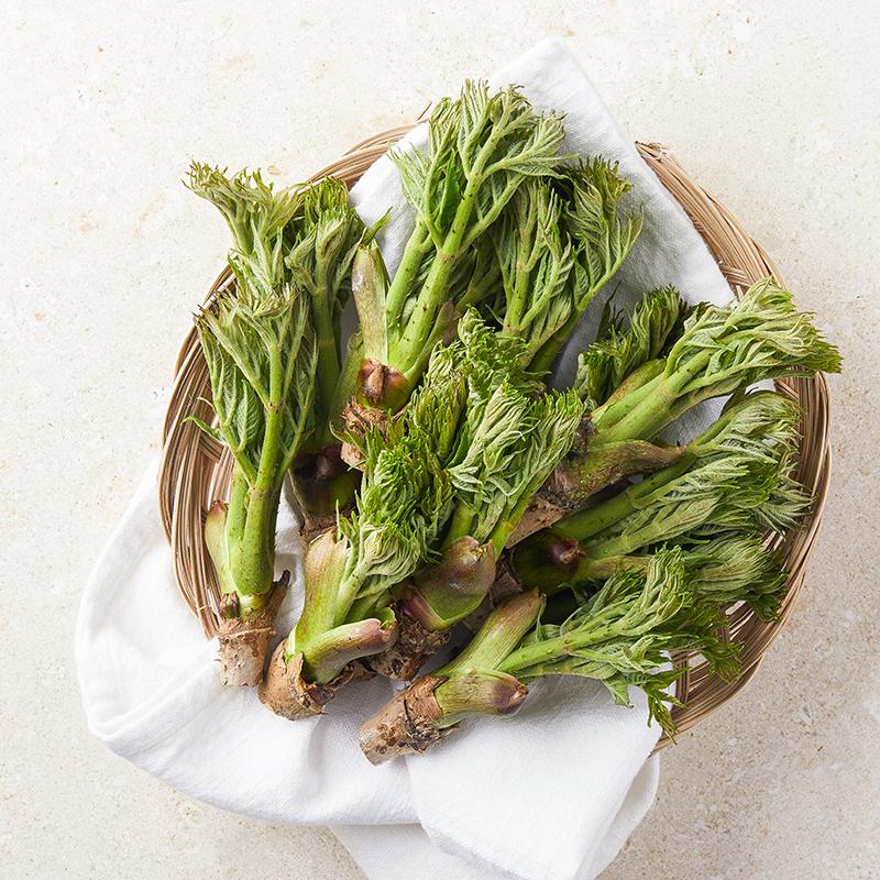 [사전예약] 고창 참두릅 500g