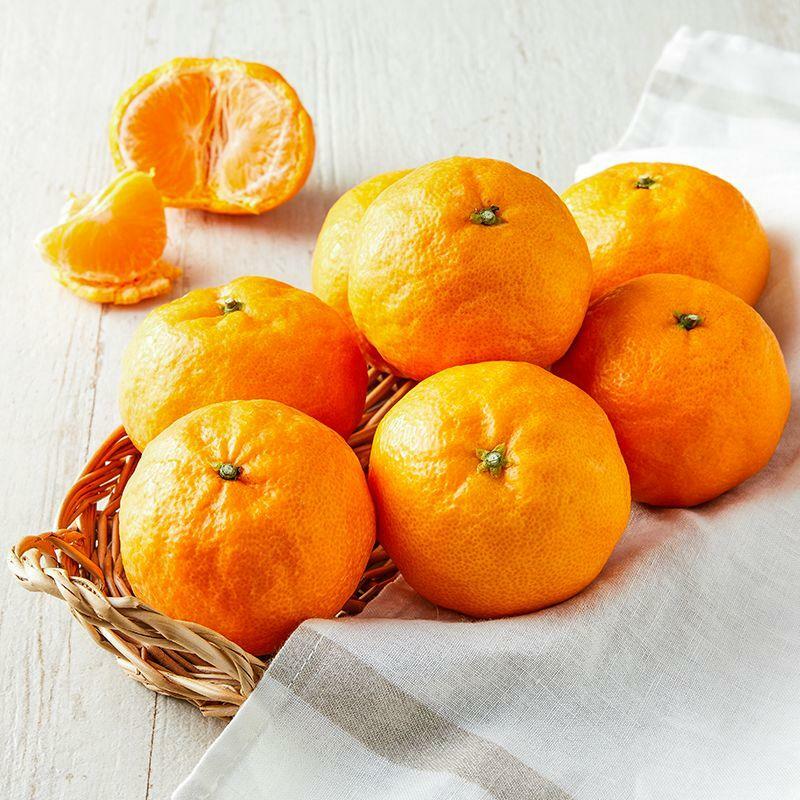 [그리팅] 저탄소 제주 카라향 1kg