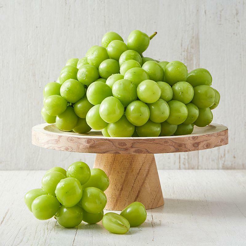 [그리팅] 저탄소 샤인머스캣 500g