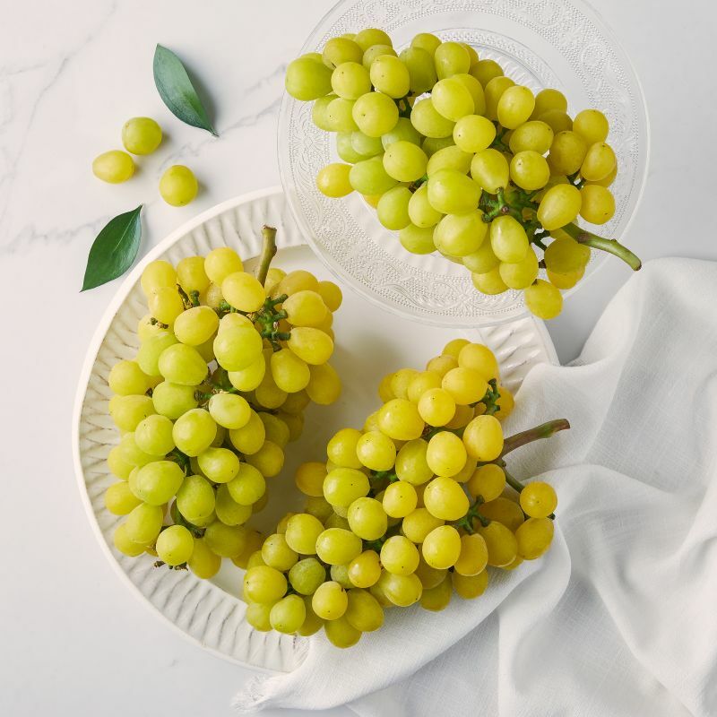 [사전예약] 칠곡 골드스위트 포도 2kg