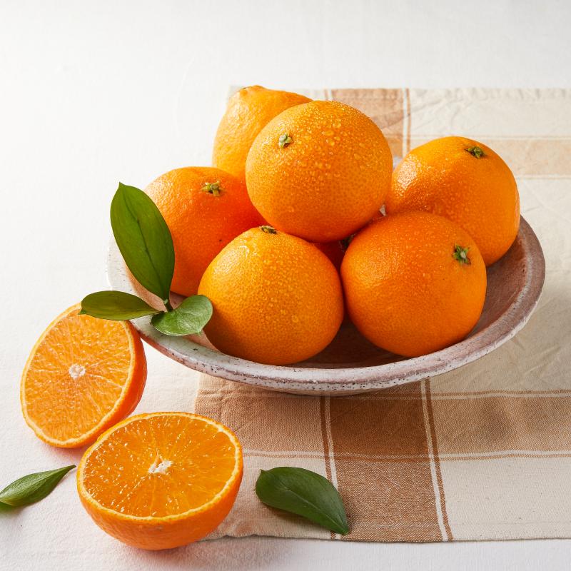 [그리팅] 저탄소 황금향 900g