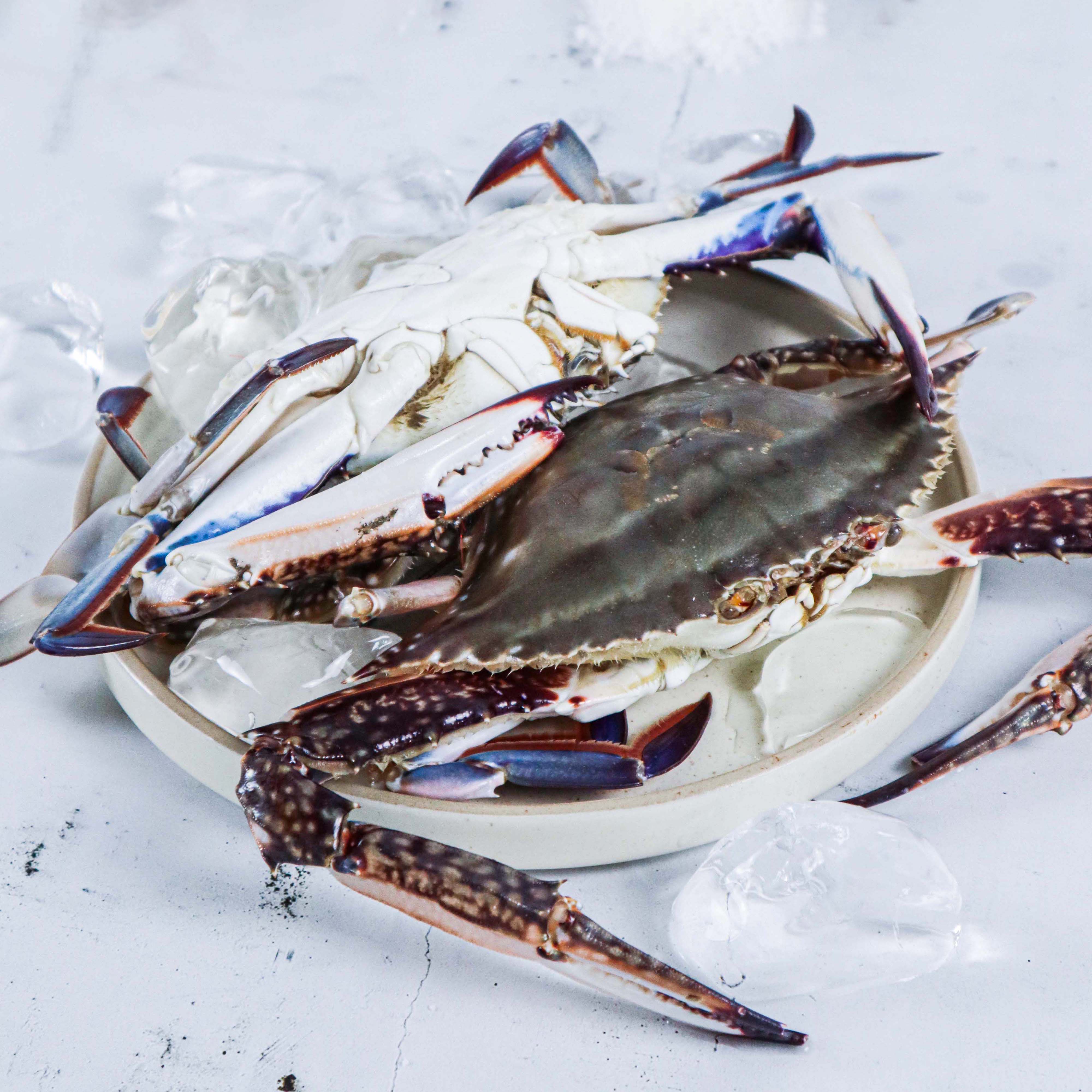 [사전예약] 가을꽃게 특대 (2-3미/kg)