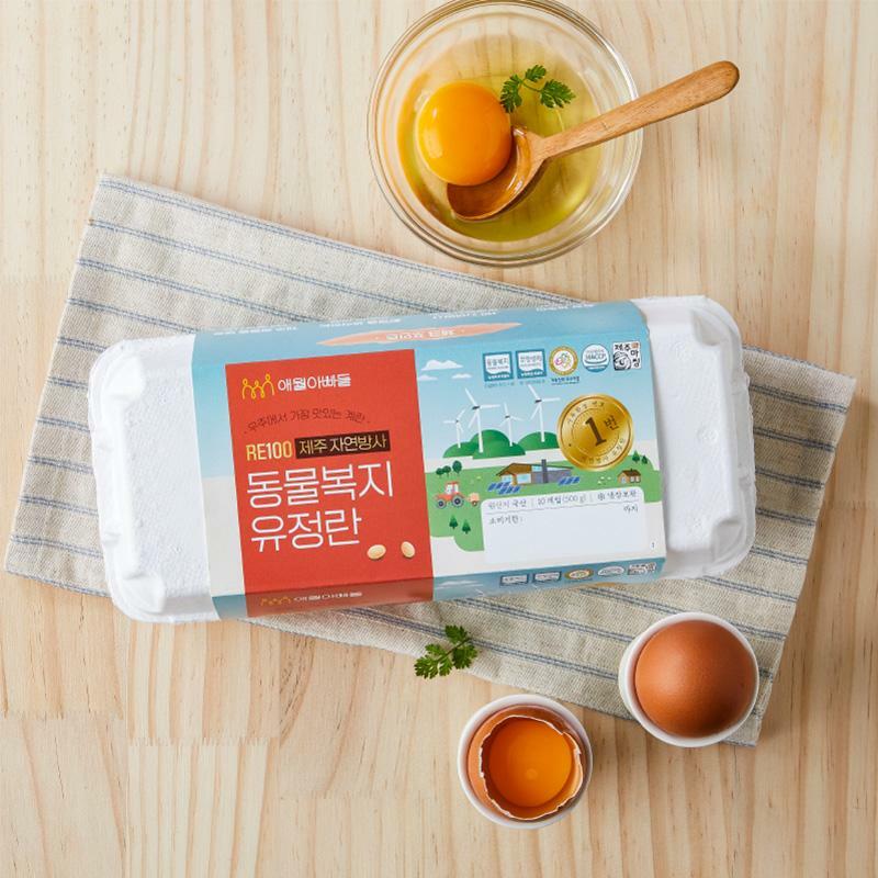 [제주애월아빠들] 제주 자유방목 동물복지 유정란 (10구) 500g