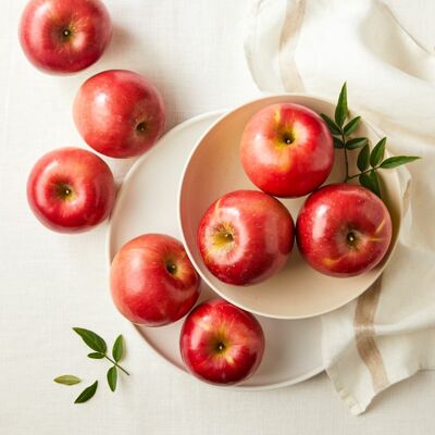 [사전예약] 홍천 컬러플 사과 1.8kg