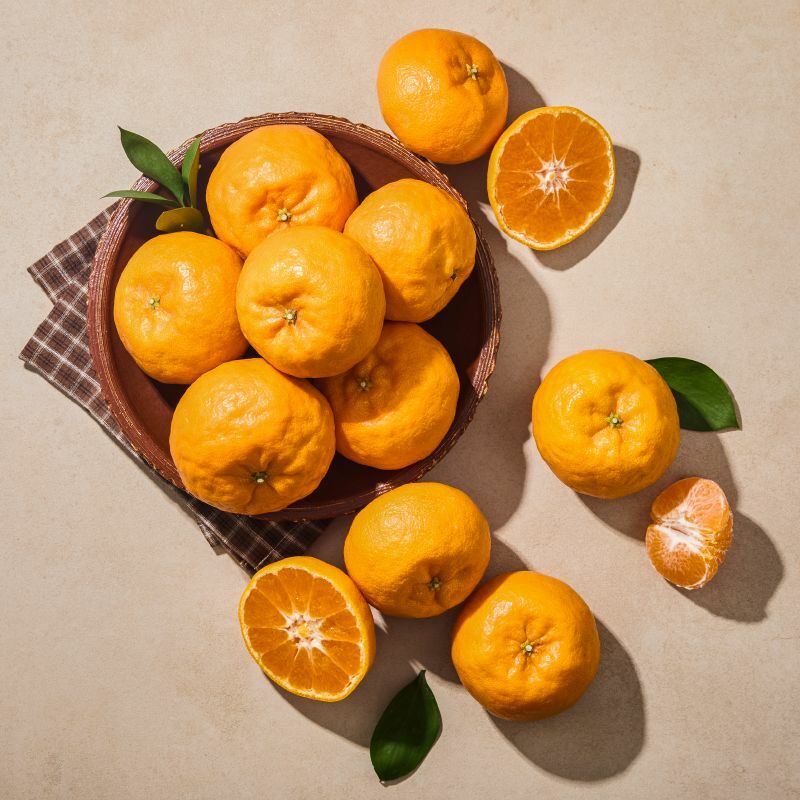 [사전예약] 제주 윈터프린스 감귤