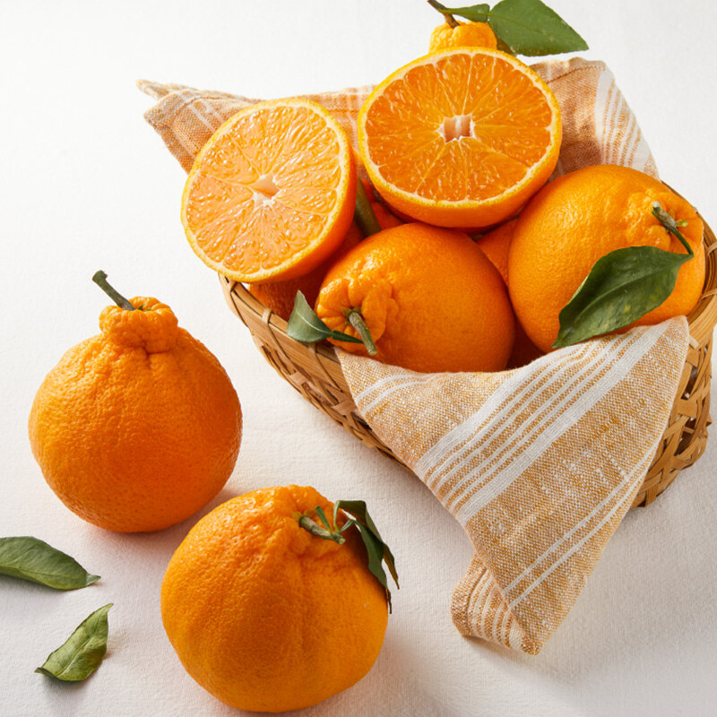 [그리팅] 청년농부 저탄소 한라봉 1.2kg(4입)