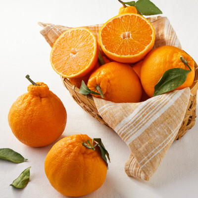 [그리팅] 청년농부 저탄소 한라봉 1.2kg(4입)