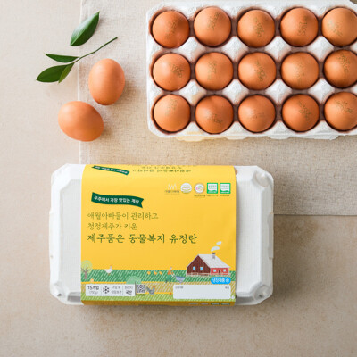 [제주애월아빠들] 제주품은 동물복지 유정란 (15구) 750g